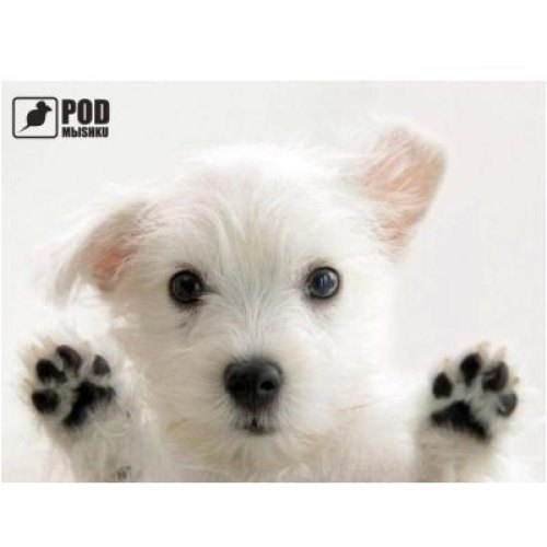 Килимок Podmyshku Лапы вверх
