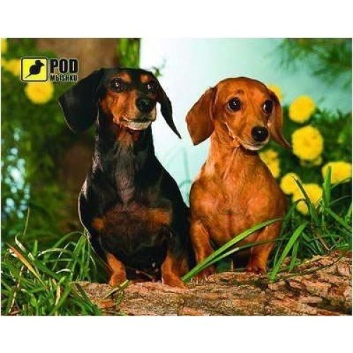 Килимок Podmyshku Таксы