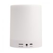 Портативна акустична система з Bluetooth GREENWAVE PS-302L (R0015083), білий