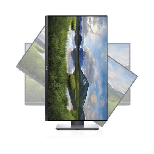 Монітор 21.5 Dell P2219H Black (210-APWR)