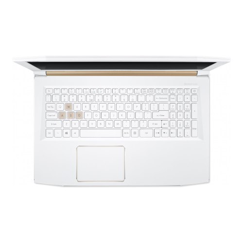 Ноутбук Acer Predator Helios 300 PH315-51 (NH.Q4HEU.004) Pearl White