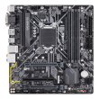 Материнська плата Gigabyte B365M D3H