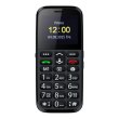 Мобільний телефон BRAVIS C220 Adult Black