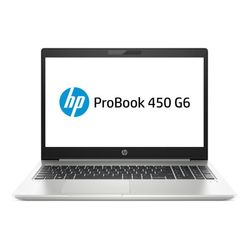 Ноутбук HP ProBook 450 G6 (4SZ43AV_V13) Silver
