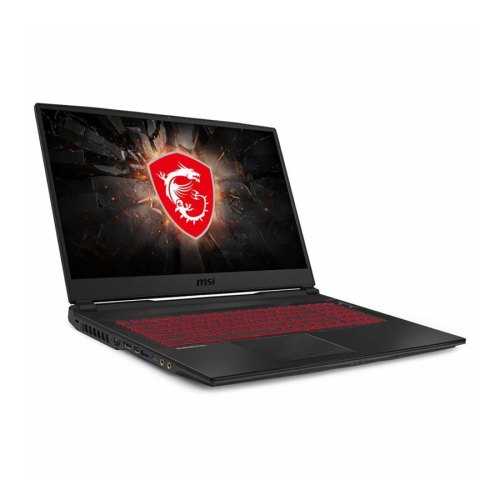 Ноутбук MSI GL75 9SE (GL759SE-250XUA)
