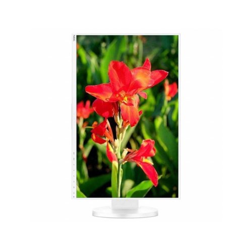 Монітор NEC EA241WU White (60004677) 24