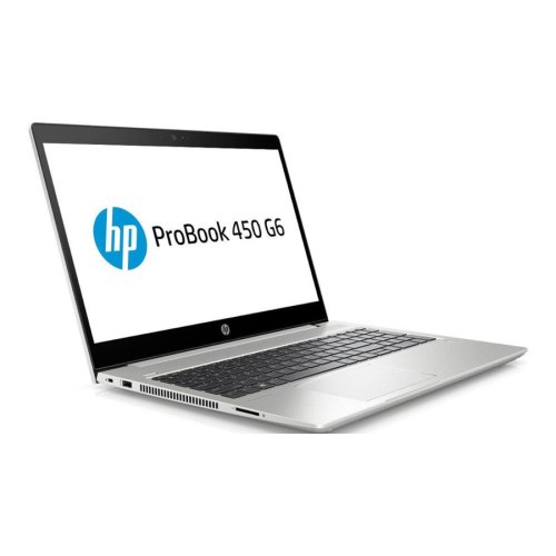 Ноутбук HP ProBook 450 G6 (4SZ45AV_1) Silver