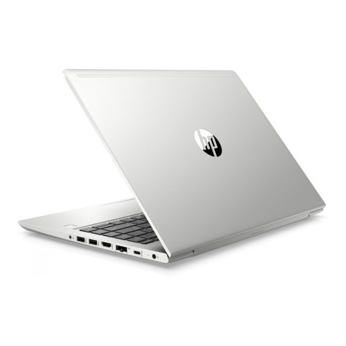 Ноутбук HP ProBook 450 G6 (4SZ47AV_V22) Silver