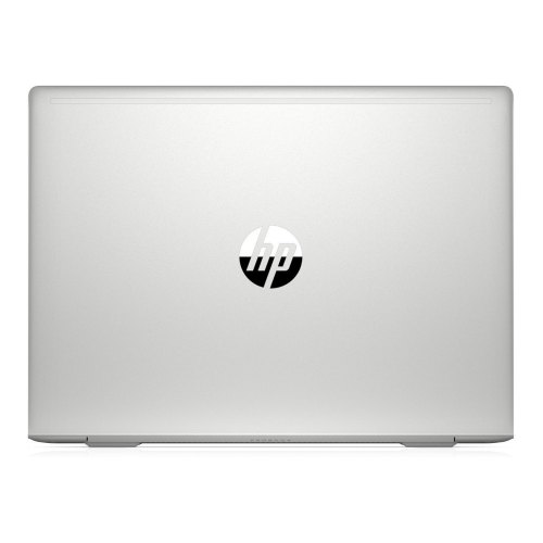 Ноутбук HP ProBook 450 G6 (4SZ47AV_V22) Silver