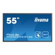 Монітор 54.6“ Iiyama TH5565MIS-B1AG