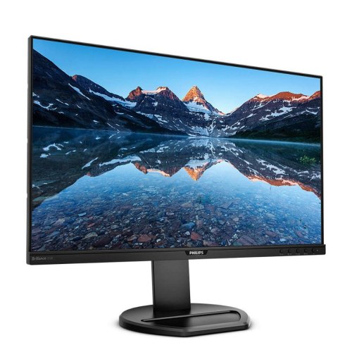 Монітор Philips B-Line 252B9 (252B9/00)