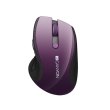 Мишка Canyon CNS-CMSW01P