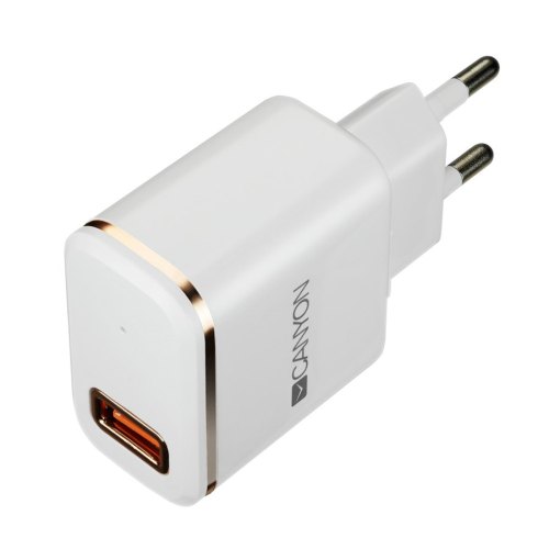 Мережевий зарядний пристрій CANYON CNE-CHA043WS USB + Lightning 2.1А White (CNE-CHA043WS)