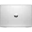 Ноутбук НР ProBook 450 G7 (8VU93EA) Pike Silver