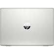 Ноутбук HP Probook 450 G7 3C247EA Silver