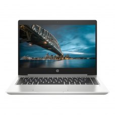 Ноутбук HP ProBook 445 G7 (1F3K7EA) Pike Silver