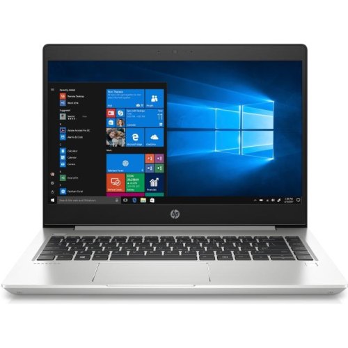 Ноутбук HP ProBook 445 G7 1F3K8EA Silver
