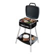 Гриль Cecotec PerfectCountry BBQ CCTC-03061 (8435484030618)