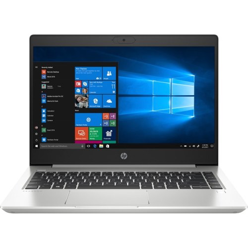 Ноутбук HP Probook 445 G7 [1F3Q6EA] Silver