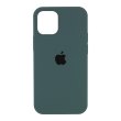 Чохол Apple Silicone Case HC for iPhone 12 Pro Max, Cactus 63