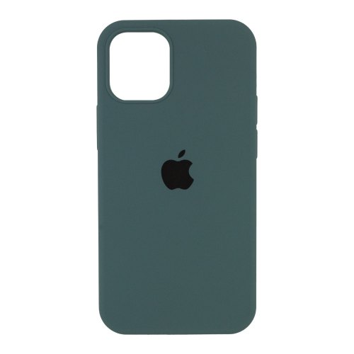 Чохол Apple Silicone Case HC for iPhone 12 Pro Max, Cactus 63