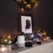 Гірлянда Smart LED Twinkly Cluster AWW, 400, Gen II, IP44 кабель чорний
