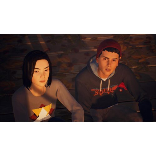 Гра для PS4 Life is Strange 2 [English version]