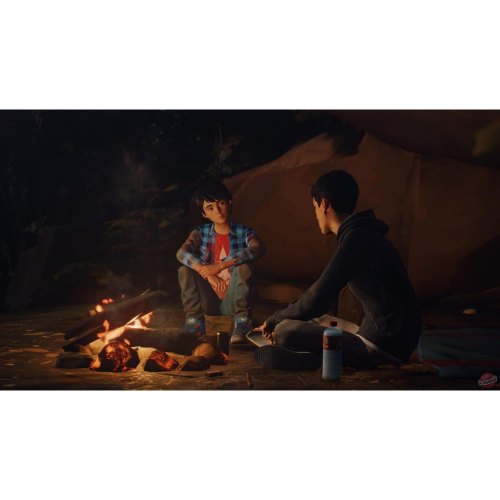 Гра для PS4 Life is Strange 2 [English version]