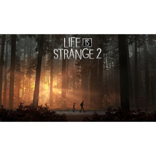 Гра для PS4 Life is Strange 2 [English version]