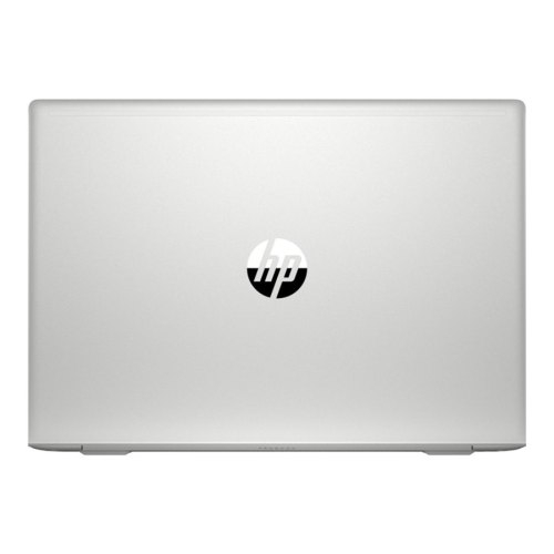 Ноутбук НР ProBook 450 G7 (6YY26AV_V16) Pike Silver