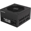 Блок живлення Gigabyte P750GM (P750GM) 750Вт