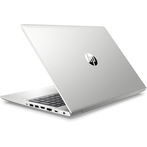 Ноутбук HP ProBook 445 G7 (2D277EA) Silver