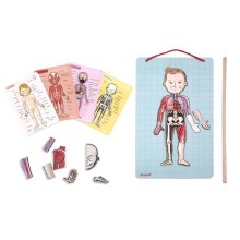 Janod Ігровий магнітний набір - Тіло людини