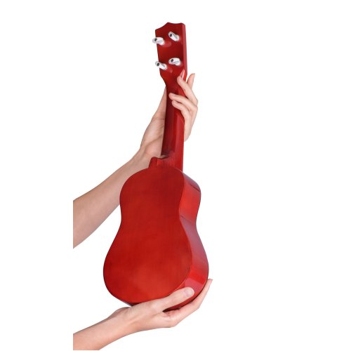 goki Музичний інструмент - Гавайська гітара