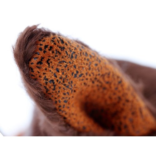 sigikid Beasts Лис і качка (21 см)