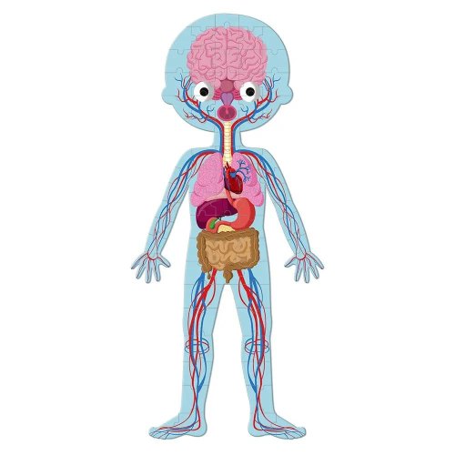 Janod Пазл навчальний - Тіло людини
