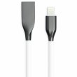 PowerPlant USB2.0 AM/Apple Lightning 2m (CA910755)