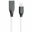 PowerPlant USB2.0 AM/Apple Lightning 1m (CA910724)