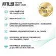 Персональний комп'ютер ARTLINE Business X21 (X21v06)