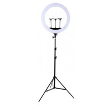 Кільцева LED лампа HQ HQ21N 21 + штатив 2.1 м