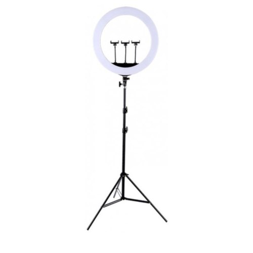 Кільцева LED лампа HQ HQ21N 21 + штатив 2.1 м