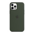 Чохол Apple iPhone 12 Pro Max Silicone Case with MagSafe - Cypress Green (MHLC3ZE/A)