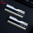 Модуль пам'яті DDR5 32GB (2x 16GB) 6000MHz G.Skill Trident Z5 RGB Silver (F5-6000J3636F16GX2-TZ5RS)