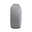 Портативна колонка JBL Horizon 2 Hotel (HORIZON2HOTELGRYEU), Grey