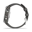Смарт годинник Garmin Fenix 7 Silver with Graphite Band (010-02540-01)
