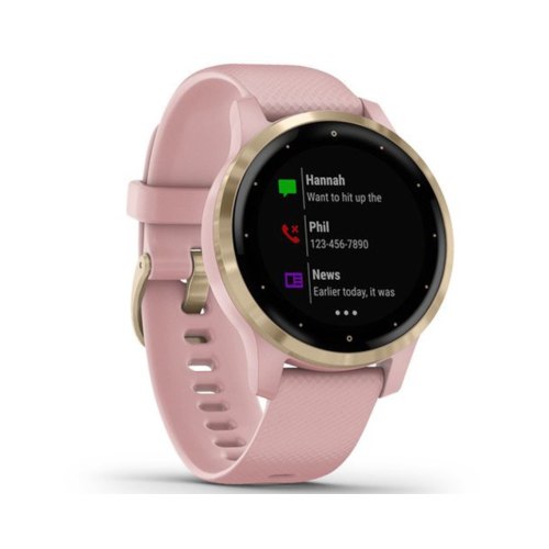 Смарт годинник Garmin Vivoactive 4S Dust Rose with Light Gold (010-02172-33)