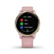 Смарт годинник Garmin Vivoactive 4S Dust Rose with Light Gold (010-02172-33)