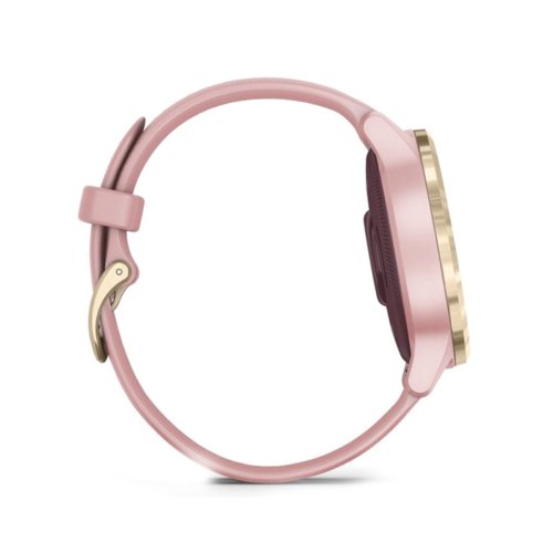 Смарт годинник Garmin Vivoactive 4S Dust Rose with Light Gold (010-02172-33)