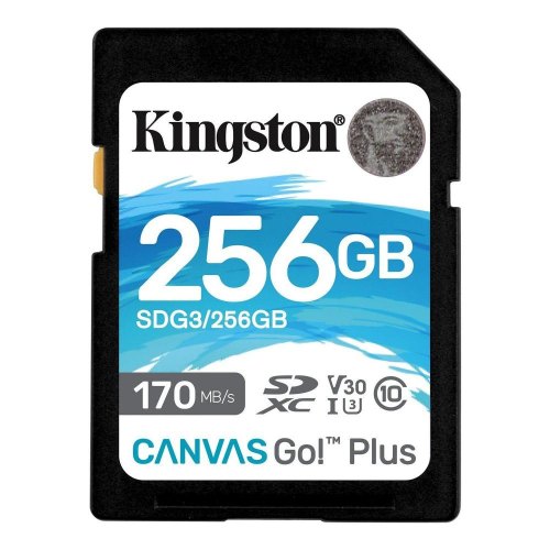 SDXC карта 256Gb Kingston class10 без адаптера UHS-I U3 R170/W90MB/s (SDG3/256GB)