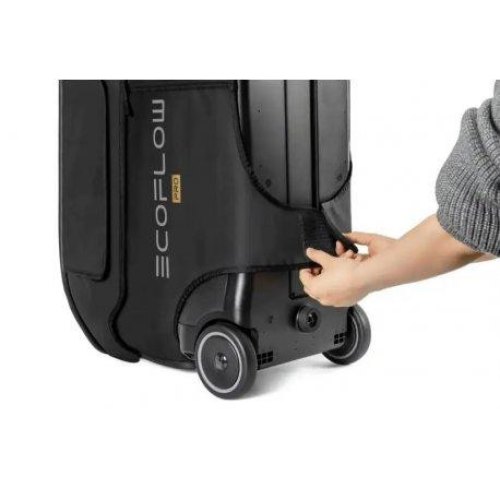 Сумка EcoFlow DELTA Pro Bag